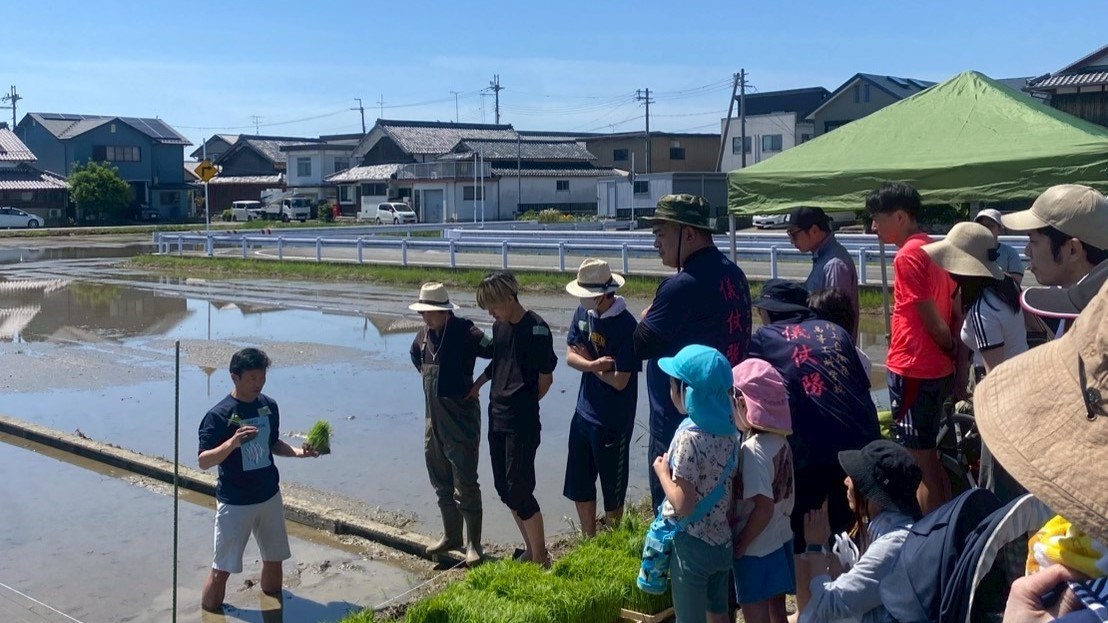 田植え体験４