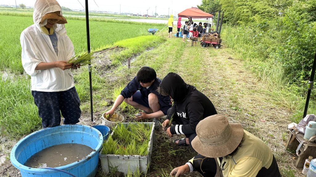 寺田商事が行ったこと